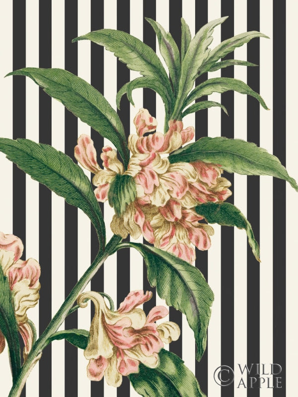 Reproduction of Herbal Botanical XXVI Bold by Wild Apple Portfolio - Wall Decor Art