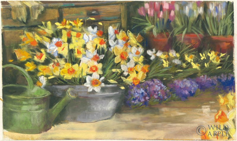 Reproduction of Spring Daffodils by Carol Rowan - Wall Decor Art