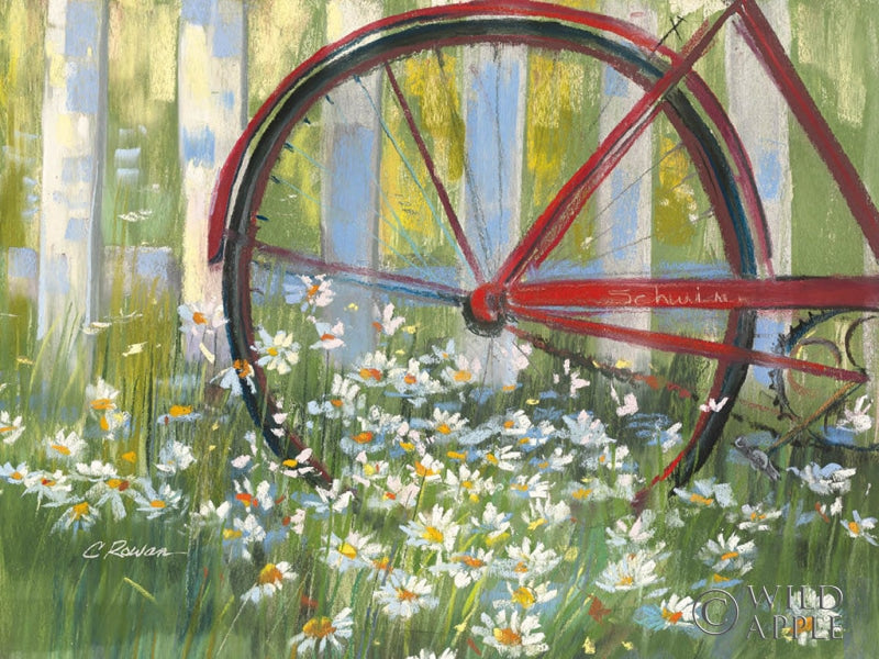 Reproduction of Bicycle By The Fence Crop by Carol Rowan - Wall Decor Art