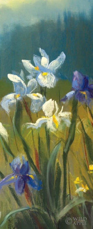 Reproduction of Wild Iris III by Carol Rowan - Wall Decor Art