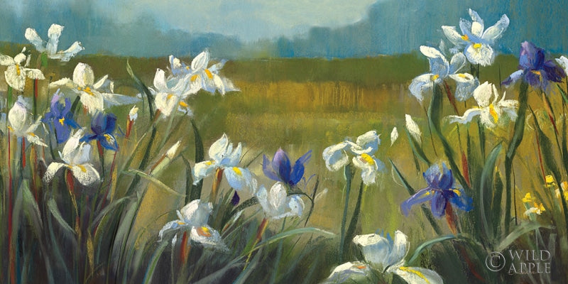 Reproduction of Wild Iris Crop by Carol Rowan - Wall Decor Art
