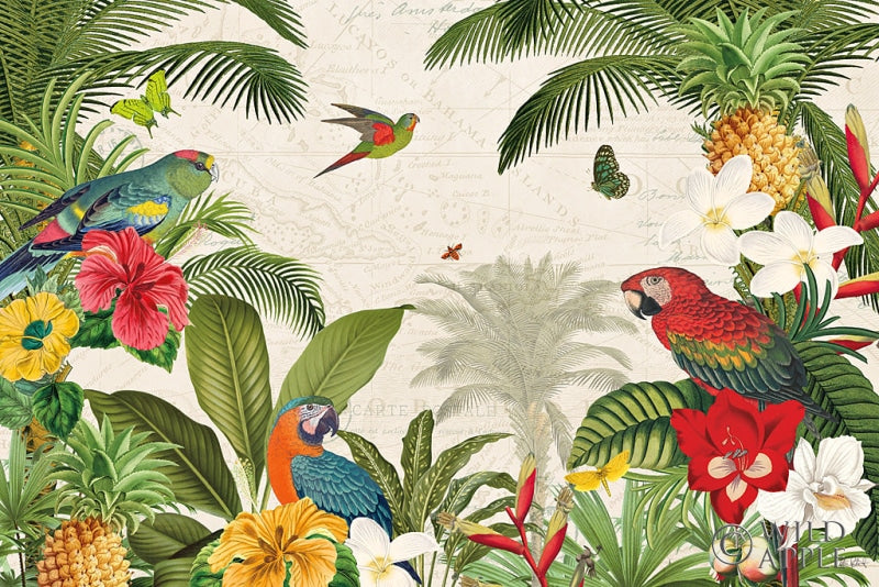 Reproduction of Parrot Paradise I by Katie Pertiet - Wall Decor Art