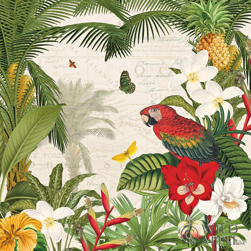 Reproduction of Parrot Paradise III by Katie Pertiet - Wall Decor Art