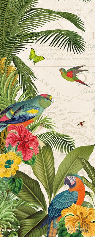 Reproduction of Parrot Paradise VI by Katie Pertiet - Wall Decor Art