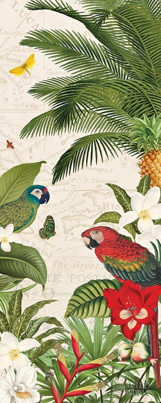 Reproduction of Parrot Paradise VII by Katie Pertiet - Wall Decor Art