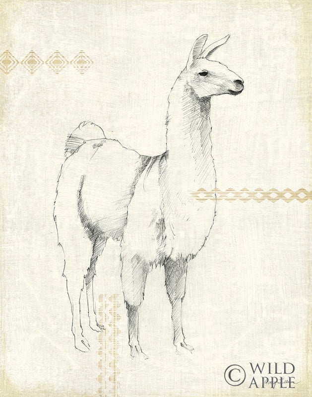 Reproduction of Llama Land XI by Avery Tillmon - Wall Decor Art