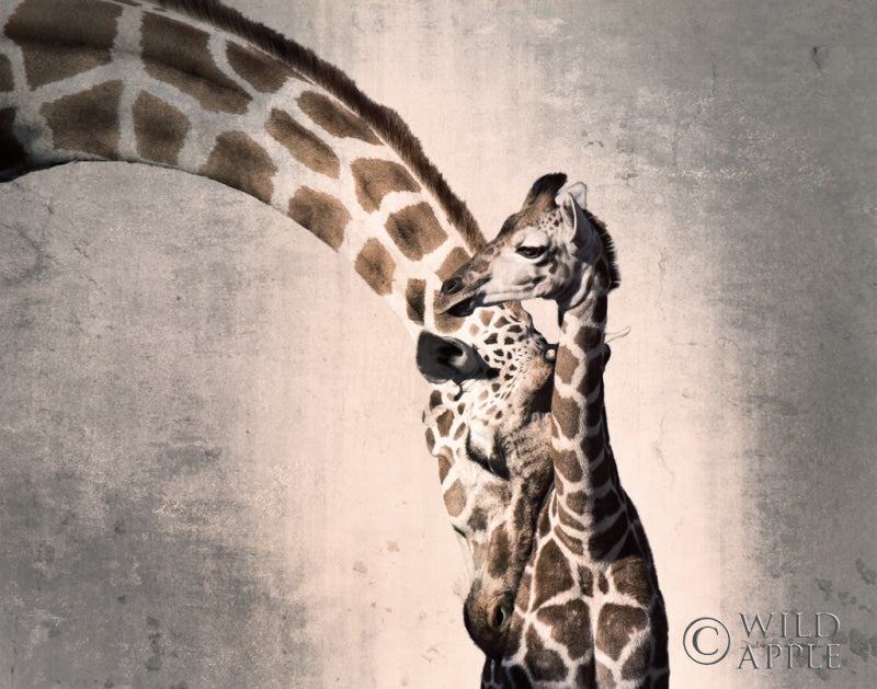 Reproduction of Mother and Son Crop by Debra Van Swearingen - Wall Decor Art