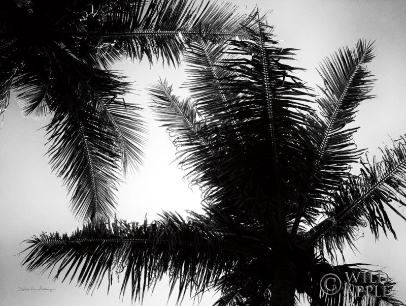 Reproduction of Palm Tree Looking Up I by Debra Van Swearingen - Wall Decor Art