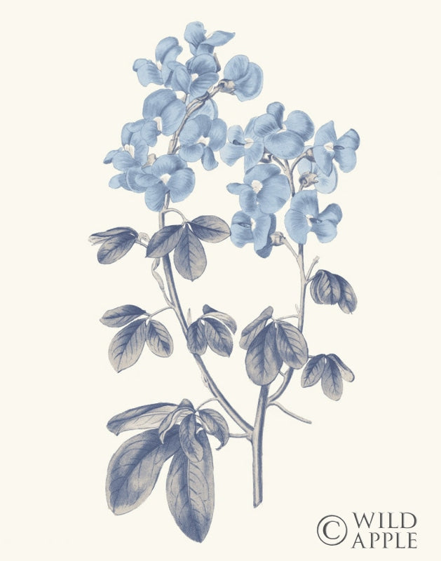 Reproduction of Blue Botanical III by Wild Apple Portfolio - Wall Decor Art