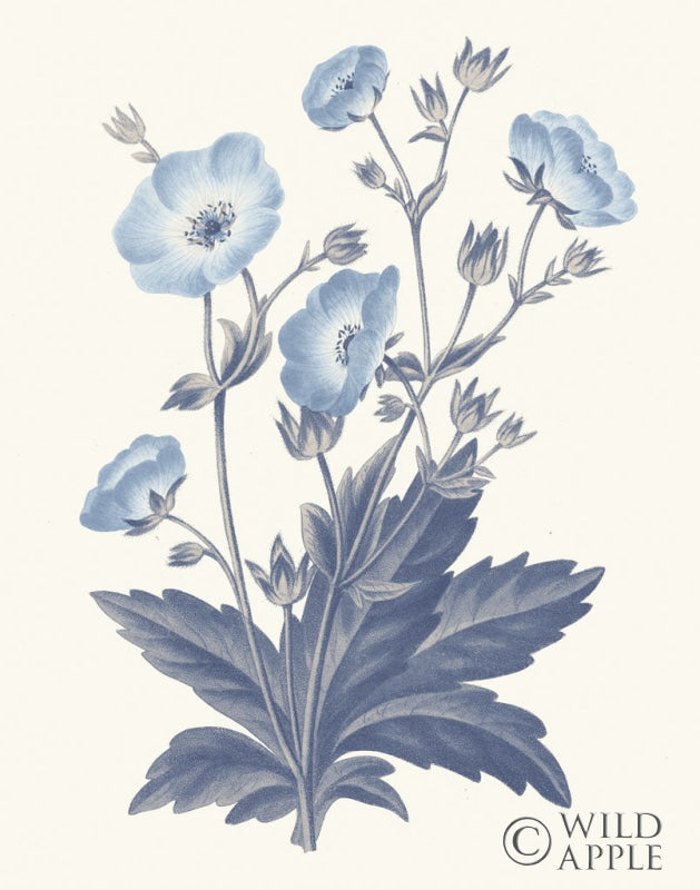 Reproduction of Blue Botanical VI by Wild Apple Portfolio - Wall Decor Art