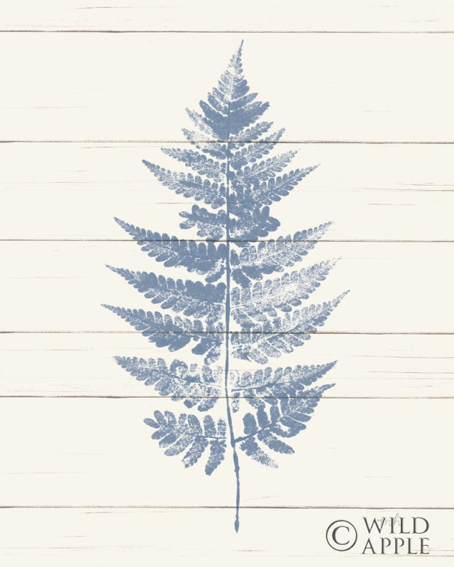 Reproduction of Fern Print I Blue Crop by Moira Hershey - Wall Decor Art