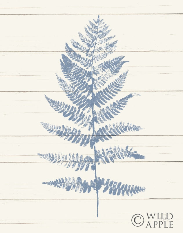 Reproduction of Fern Print II Blue Crop by Moira Hershey - Wall Decor Art