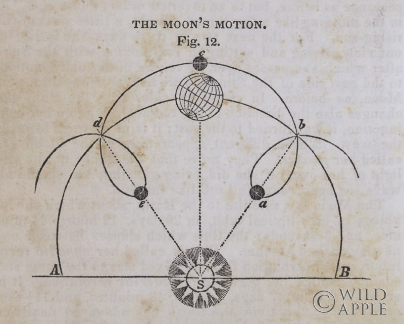 Reproduction of Geography of the Heavens VIII by Wild Apple Portfolio - Wall Decor Art