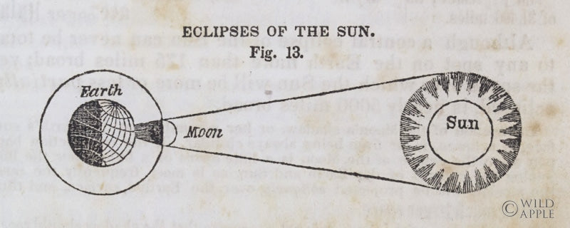 Reproduction of Geography of the Heavens III by Wild Apple Portfolio - Wall Decor Art