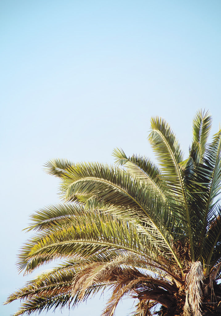 Reproduction of Summer I Crop by Laura Marshall - Wall Decor Art