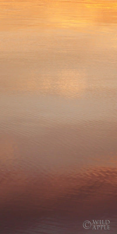 Reproduction of Kalaloch Reflections II by Laura Marshall - Wall Decor Art