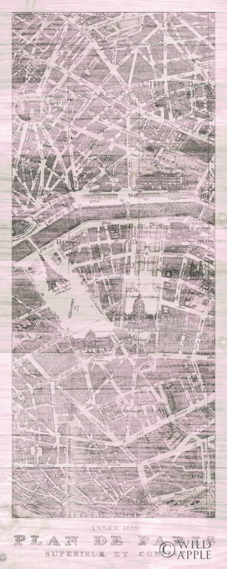 Reproduction of Plan de Paris Panel on Wood v2 Blush by Wild Apple Portfolio - Wall Decor Art