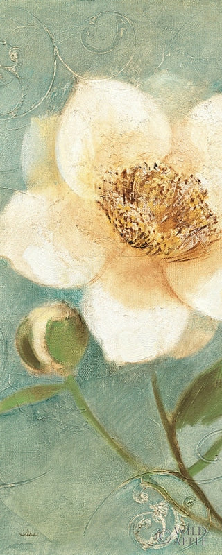 Reproduction of Pretty Peony Crop by Albena Hristova - Wall Decor Art