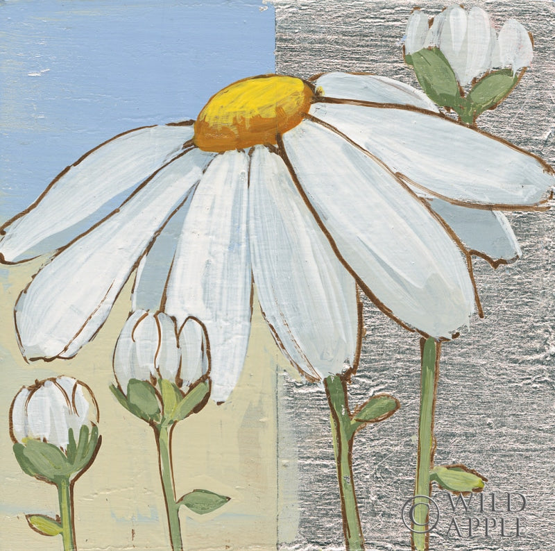 Reproduction of White Daisy Square II by Kathrine Lovell - Wall Decor Art