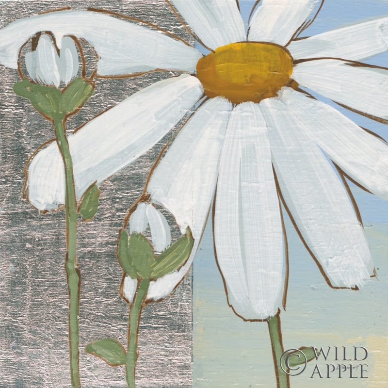 Reproduction of White Daisy Square I by Kathrine Lovell - Wall Decor Art