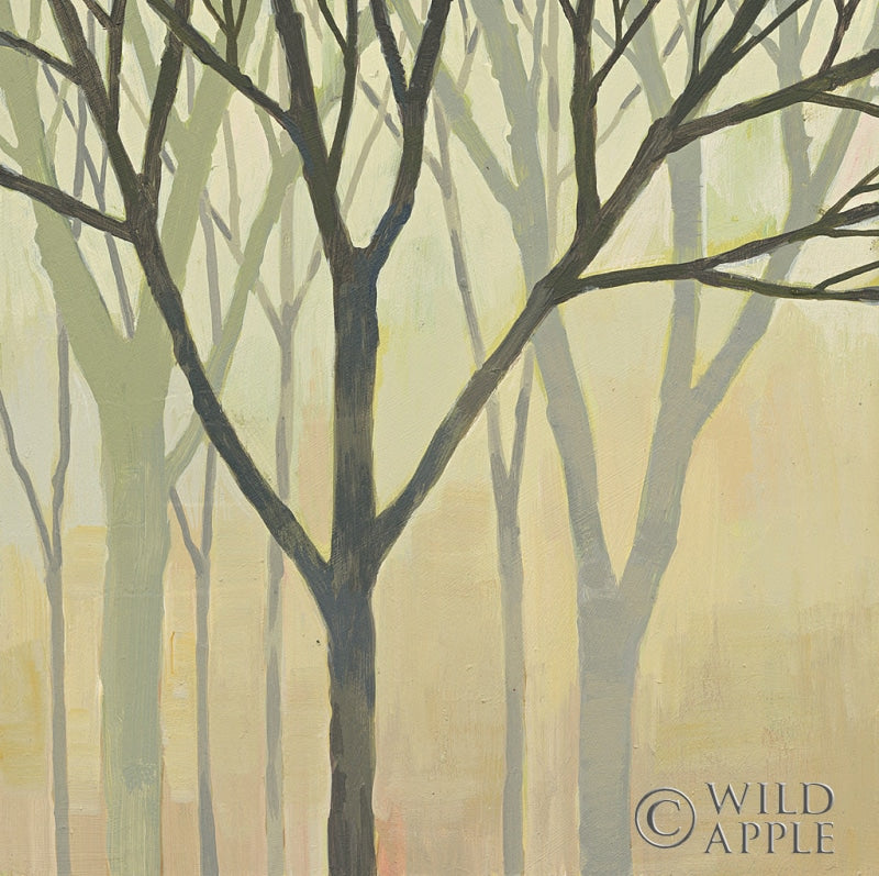 Reproduction of Spring Trees II by Kathrine Lovell - Wall Decor Art