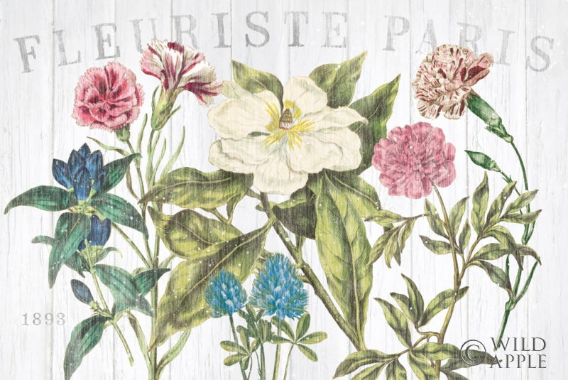 Reproduction of Fleuriste Paris I by Wild Apple Portfolio - Wall Decor Art