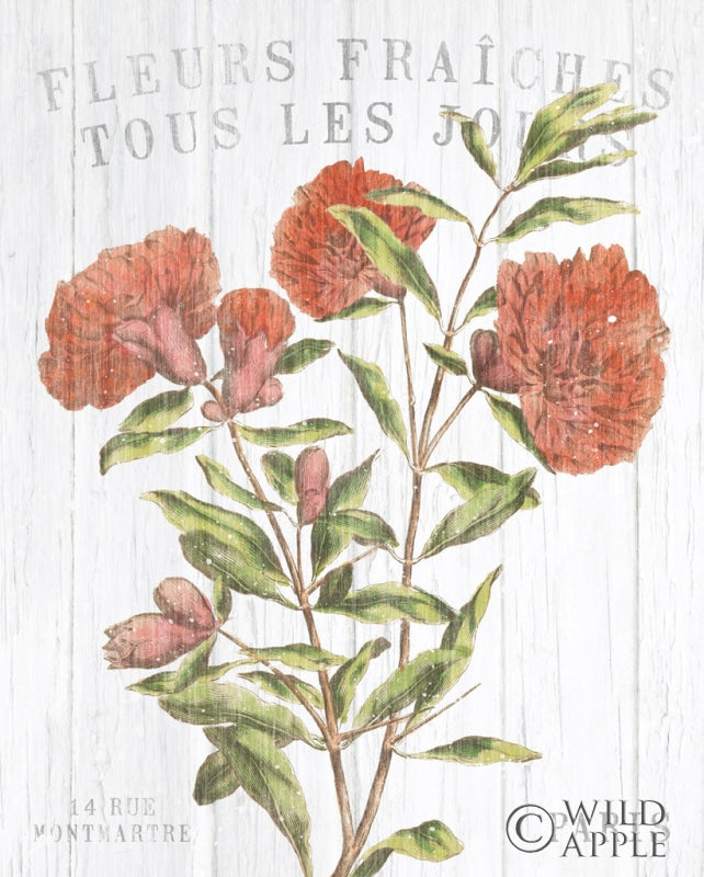 Reproduction of Fleuriste Paris III by Wild Apple Portfolio - Wall Decor Art