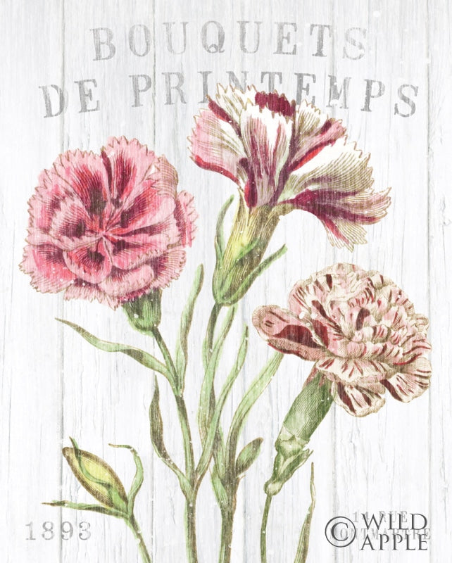 Reproduction of Fleuriste Paris IV by Wild Apple Portfolio - Wall Decor Art