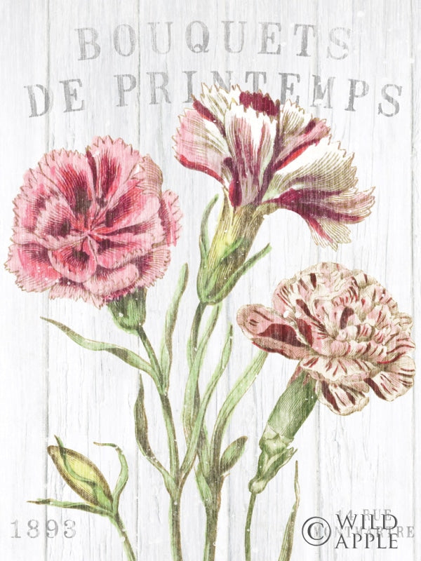 Reproduction of Fleuriste Paris IV Crop by Wild Apple Portfolio - Wall Decor Art