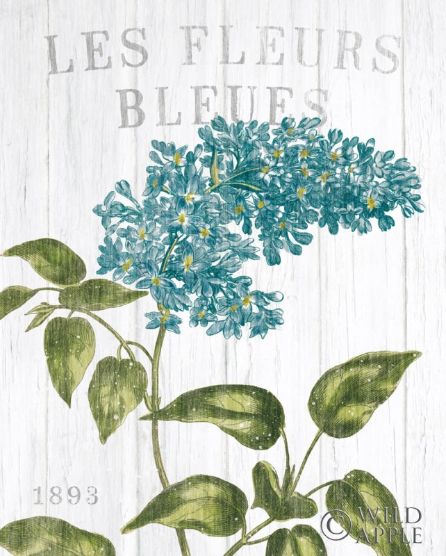 Reproduction of Fleuriste Paris V by Wild Apple Portfolio - Wall Decor Art