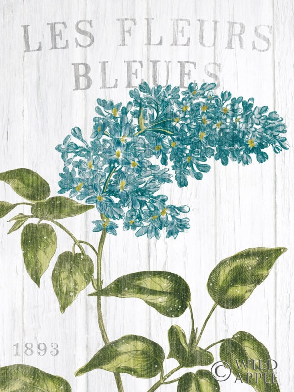 Reproduction of Fleuriste Paris V Crop by Wild Apple Portfolio - Wall Decor Art