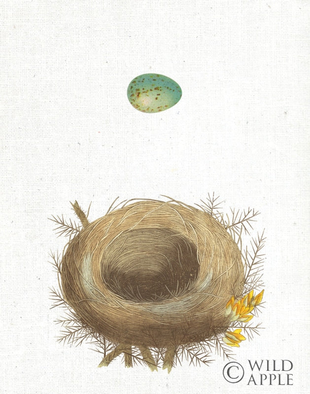 Reproduction of Spring Nest I Crop by Moira Hershey - Wall Decor Art