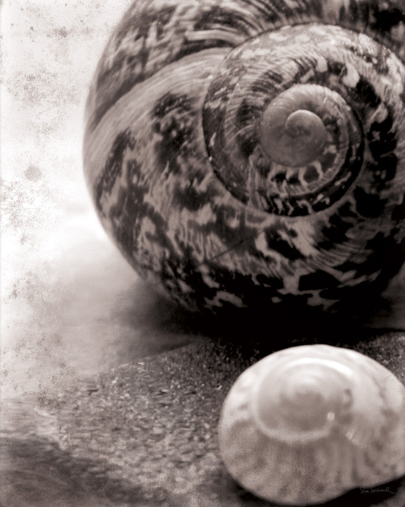 Reproduction of New Discoveries No Border by Sue Schlabach - Wall Decor Art