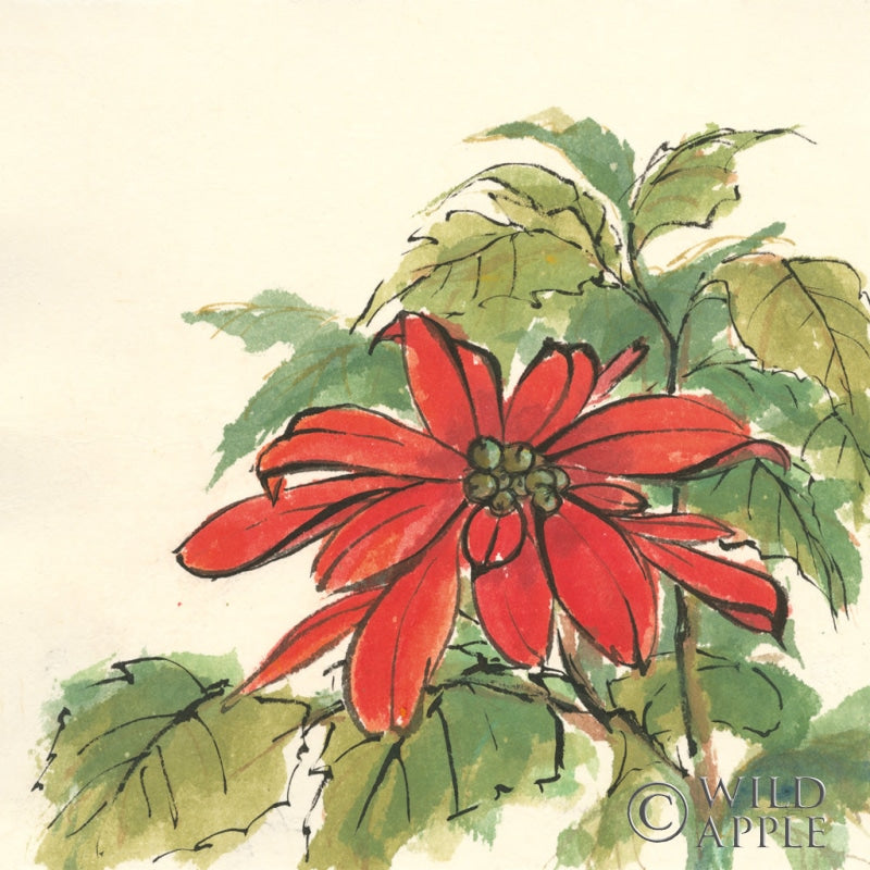 Reproduction of Poinsettia I by Chris Paschke - Wall Decor Art