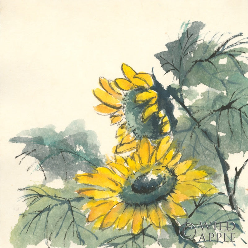 Reproduction of Sunflower II by Chris Paschke - Wall Decor Art