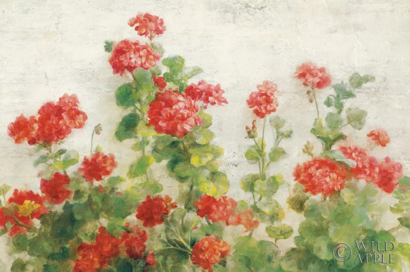 Reproduction of Red Geraniums on White v2 by Danhui Nai - Wall Decor Art