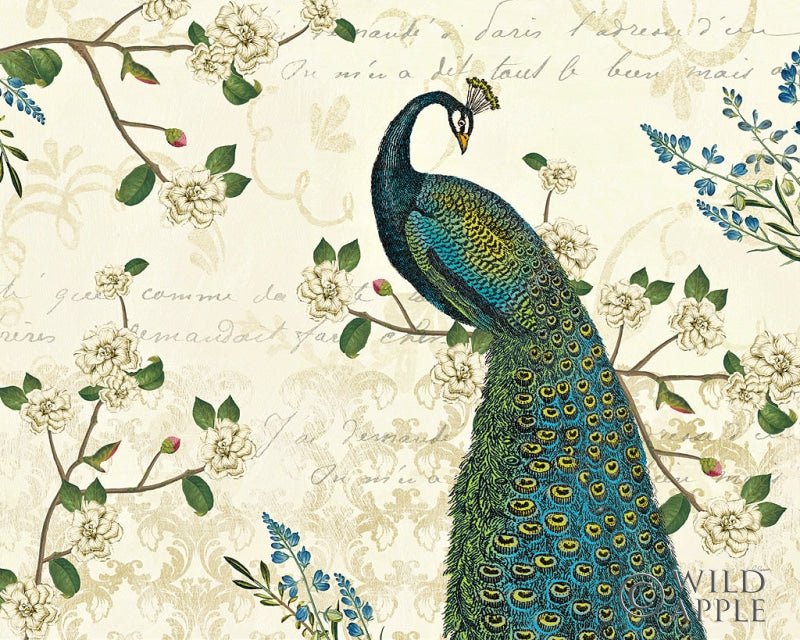 Reproduction of Peacock Arbor II Ivory by Sue Schlabach - Wall Decor Art