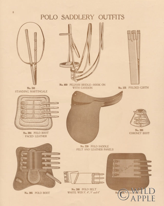 Reproduction of Equine Riding Gear II v2 by Wild Apple Portfolio - Wall Decor Art