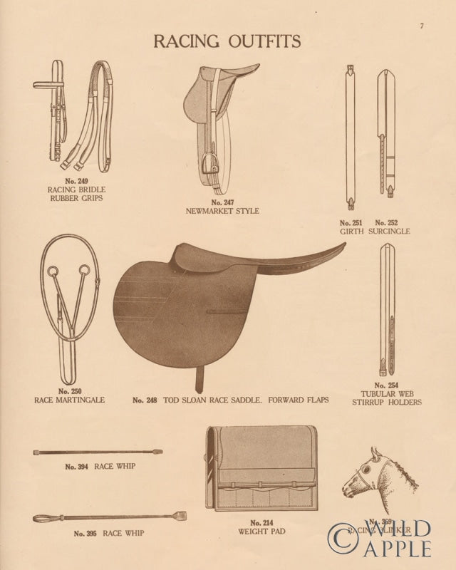 Reproduction of Equine Riding Gear III v2 by Wild Apple Portfolio - Wall Decor Art