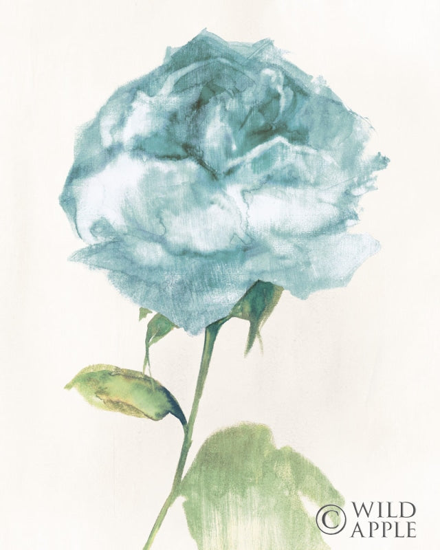 Reproduction of Antique Floral on Cream II Blue by Wild Apple Portfolio - Wall Decor Art