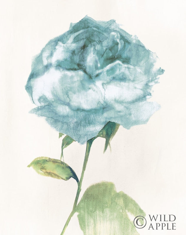 Reproduction of Antique Floral on Cream II Blue by Wild Apple Portfolio - Wall Decor Art