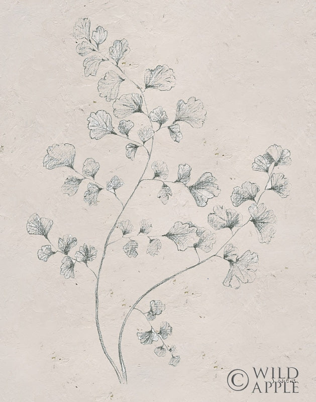 Reproduction of Soft Summer Sketches IV by James Wiens - Wall Decor Art