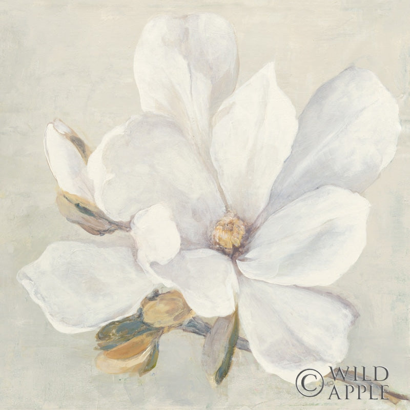 Reproduction of Serene Magnolia by Julia Purinton - Wall Decor Art