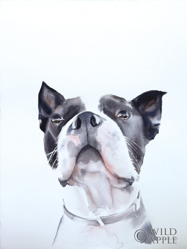 Reproduction of Bird Watching by Aimee Del Valle - Wall Decor Art