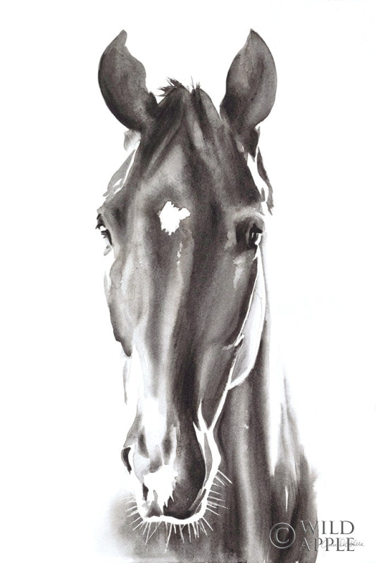 Reproduction of Le Cheval Noir by Aimee Del Valle - Wall Decor Art