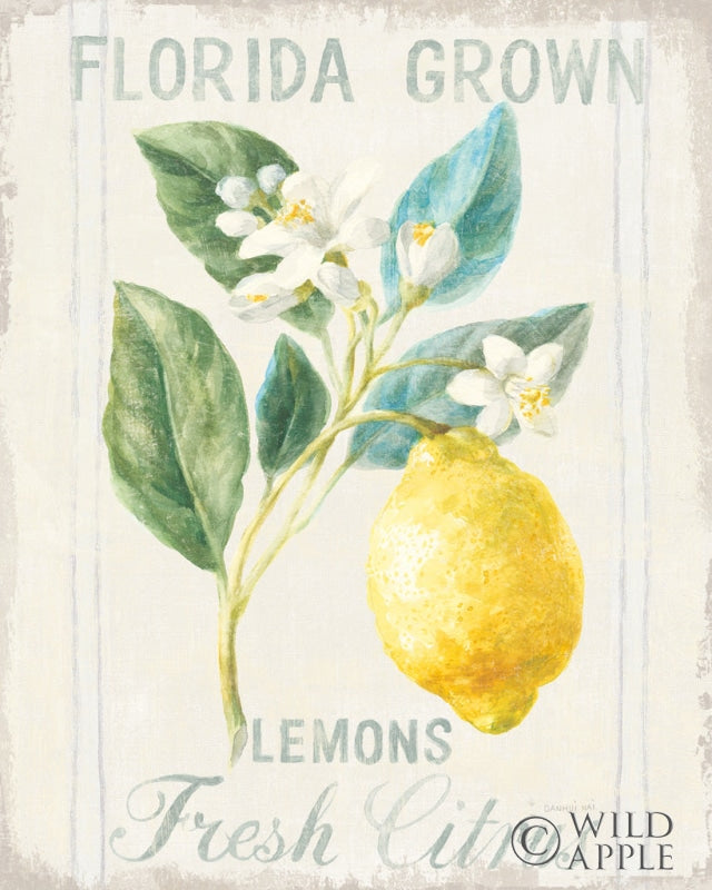 Reproduction of Floursack Lemon I by Danhui Nai - Wall Decor Art