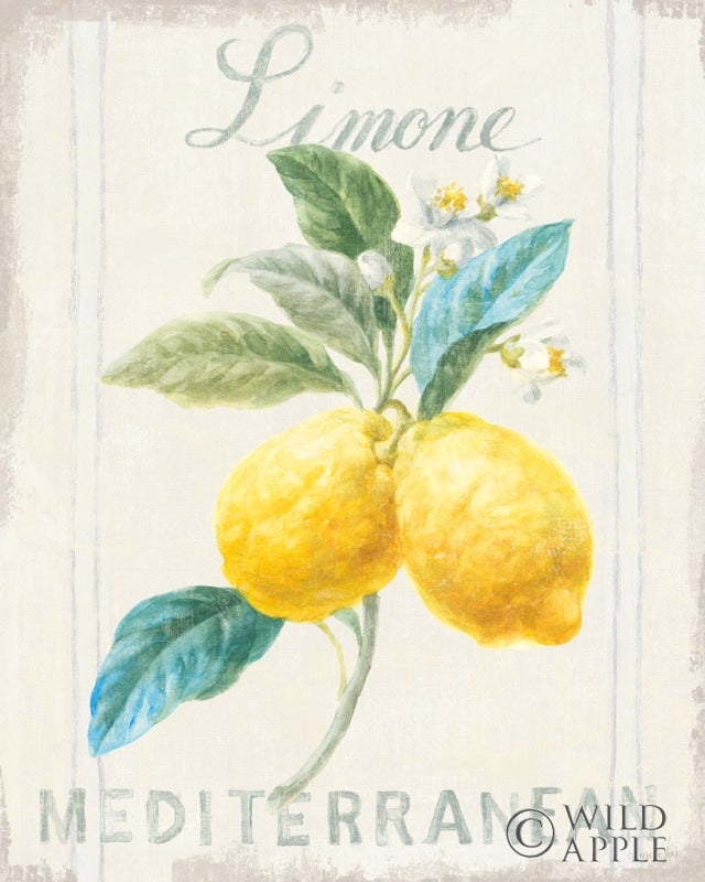 Reproduction of Floursack Lemon III by Danhui Nai - Wall Decor Art