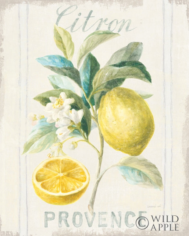Reproduction of Floursack Lemon IV by Danhui Nai - Wall Decor Art