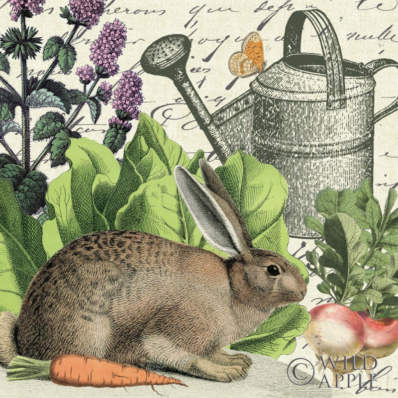 Garden Rabbit I