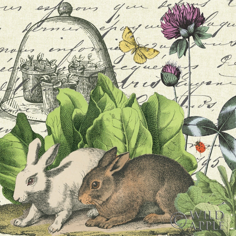 Reproduction of Garden Rabbit II by Wild Apple Portfolio - Wall Decor Art